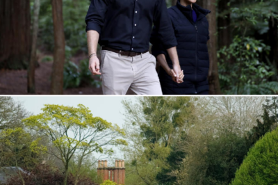 Revealing the reason why not a single member of the royal family has any interest in the mansion that once belonged to Harry and Meghan