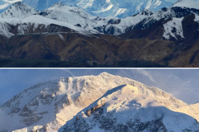 Falling from 5,500 meters on Mount McKinley, three d3:ad and one urgently rescued by helicopter