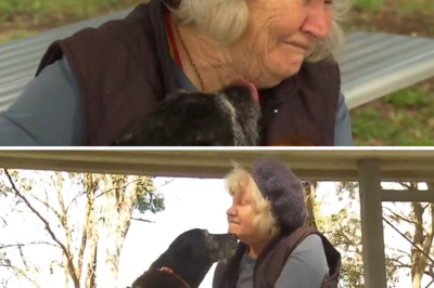 Bitter words from vicious dog att@:ck victim: “It feels like the dog’s the important thing and not the victim…”