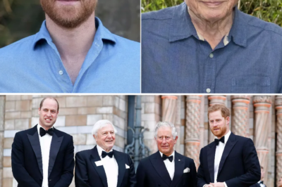 Harry has just made a profoundly meaningful gesture to mark the 100th birthday of Sir David Attenborough