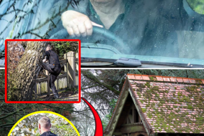 The British Royal Family’s notable reaction following the att@:ck on former Prince Andrew near his new home
