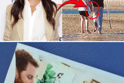 BEHIND THE ‘ADORABLE’ MOMENT OF ARCHIE AND LILIBET: Meghan Sends a Cryptic Message Through a Shocking Detail in Her Son’s Appearance