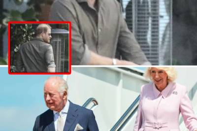 Prince Harry’s first move following King Charles’ state visit to the United States