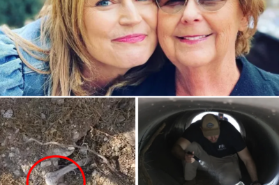 CRAZY TWIST in the Nancy Guthrie Kidnapping Case: Streamer Discovers Human Bone Near the Scene and the “Jaw-Dropping” Truth After Forensics!