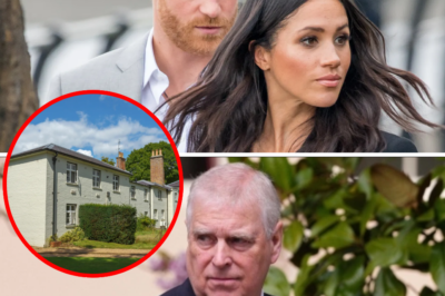 Andrew snubs something that once belonged to Harry and Meghan, claiming it’s not high-class enough for him to even look at!