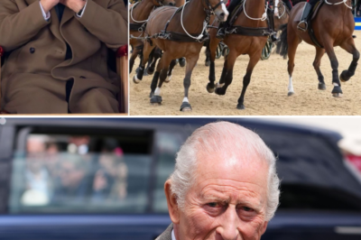 The current condition of the horse involved in the fatal accident that k!:lled a member of the King’s Troop Royal Horse Artillery