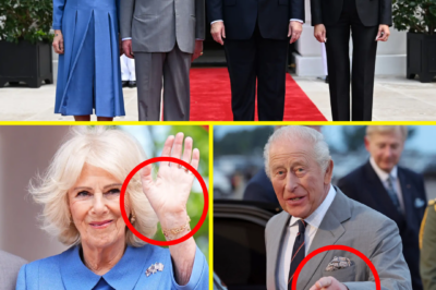 “NO FUSS, JUST CAMILLA…” — Queen’s Airport Moment Turns Head