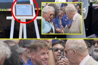 ROYAL MOMENT — fan’s hilarious reaction to meeting Charles III goes viral