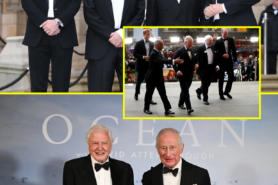 SHOCKWAVES IN ROYAL CIRCLES: DOES Prince Harry’S TRIBUTE TO David Attenborough HIDE A DEEPER MESSAGE AHEAD OF HIS 100TH BIRTHDAY?