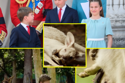 Behind the charming gesture that earned praise from Robert Irwin lies a moment that has royal insiders quietly talkin