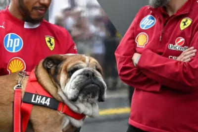 “HE DIDN’T FORGET…” — Lewis Hamilton’S TOUCHING TRIBUTE LEAVES FANS EMOTIONAL