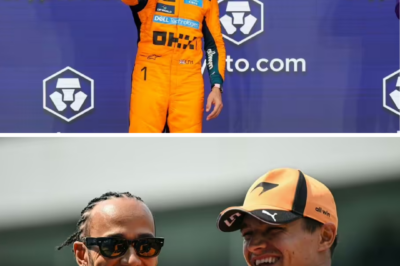 DRIVERS UNITE — Lewis Hamilton backed by Lando Norris after F1 “blindsided” backlash