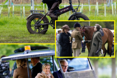 Lady Louise Windsor is reportedly receiving no special treatment while attending the Royal Windsor Horse Show — despite her royal status