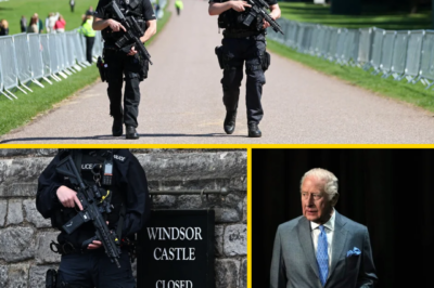 A shocking claim is raising serious questions. Armed police officers tasked with guarding the King at Windsor Castle have reportedly been accused of falling asleep while on duty