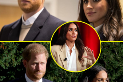 Meghan Markle was reportedly left stunned after discovering the true extent of Prince Harry’s wealth — and insiders claim it may have caused tension