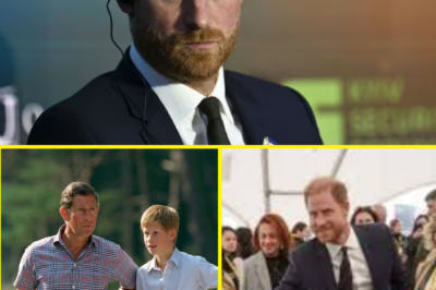 ROYAL REUNION HANGS IN THE BALANCE: PRINCE HARRY MAY NEED TO TAKE ONE KEY STEP FIRST A possible meeting with King Charles… but not without conditions