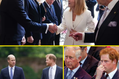 ROYAL PEACEMAKER — King Charles III ’S NEW AIDE MOVES TO REUNITE Prince William AND Prince Harry — BOLD PLAN REVEALED