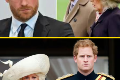 “JUST TWO WORDS…” — Prince Harry’s cutting nickname for Queen Camilla shocks readers
