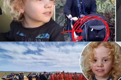“SOMETHING DOESN’T FEEL RIGHT!” Locals Sh0cked by Disturbing New Twist in the Search for Missing Gus Lamont