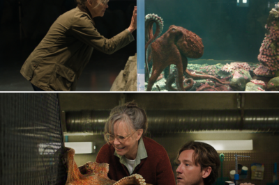 “There’s Something About That Octopus…” — Sally Field’s Emotional Role in Remarkably Bright Creatures Leaves Fans Stunned