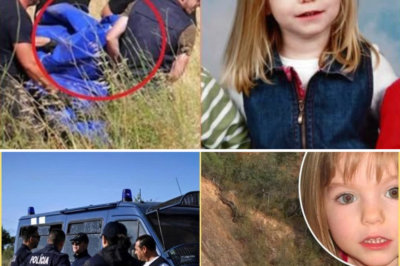 Madeleine McCann Case Update: Parents React to Latest Official Findings