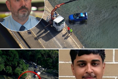 Police Issue Major Update After Fatal Crash in Sydney’s Royal National Park — New Details Raise Serious Questions