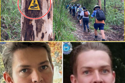 Urgent: Search underway in Western Australia’s wilderness for a missing hiker, last seen near the Bibbulmun Track