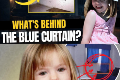 “THE CURTAIN SHOULDN’T HAVE MOVED” — New Madeleine McCann Analysis Challenges the Original Intruder Theory