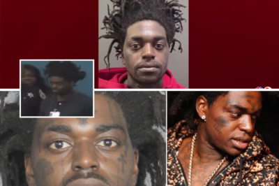 Kodak Black Arrested in South Florida on Charges of Fleeing and Resisting Police