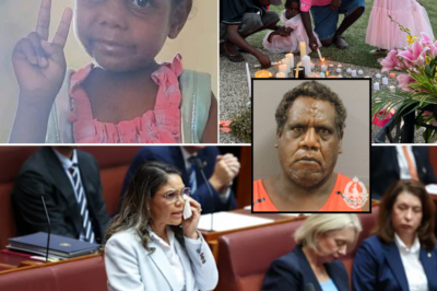 Major Law Reform Shake-Up Introduced to Northern Territory Parliament Following De_ath of Kumanjayi Little Baby