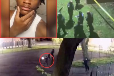 Rising Brooklyn Drill Rapper Sh_ot And Kill_ed Inside Nyc Housing Complex