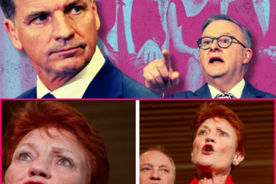 Angus Taylor Overtakes Albo in Surprise PM Poll Twist — And a Strange Detail Has Sparked Heated Debate