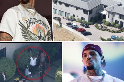 Chris Brown’s Security Guard Who Sh_ot Gun Outside His House Has Been Fired