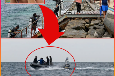 RACE AGAINST TIME IN Maldives: ELITE DIVERS RUSH TO RECOVER TOURISTS LOST IN UNDERWATER TRAGEDY AS FEARS GROW OVER WHAT MAY REACH THE SITE FIRST
