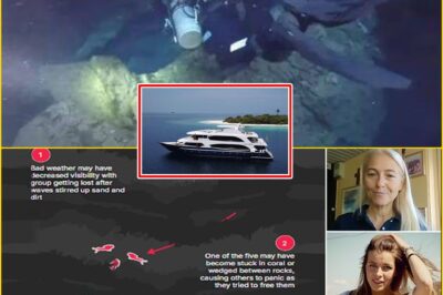 WHY DID THEY GO THAT DEEP?: HAUNTING QUESTIONS EMERGE AFTER FIVE DIVERS DI-ED IN UNDERWATER CAVE FEARED BY EXPERIENCED EXPLORERS