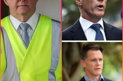 ‘THAT’S NOT WHAT PEOPLE EXPECTED TO HEAR…’ — CHRIS MINNS’ REMARKS ON THE ALBANESE G0VERNMENT TRIGGER POLITICAL STORM AND FRESH LAB0R QUESTIONS