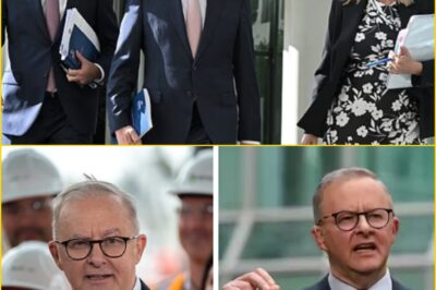 “VOTERS DESERVE AN ANSWER” — ALBANESE PRESSED OVER NEGATIVE GEARING BACKFLIP AS POLITICAL TENSIONS BEGIN TO BUILD