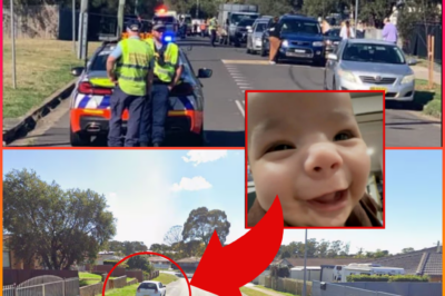 WE ARE NOT GIVING UP — POLICE BREAK SILENCE WITH NEW INFORMATION IN DESPERATE SEARCH FOR BABY ALEJANDRO AS COMMUNITY WAITS FOR ANSWERS