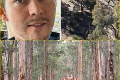 WHAT HAPPENED ON THE TRAIL?: DESPERATE SEARCH FOR MISSING VICTORIAN LAST SEEN NEAR REMOTE PERTH TRACK