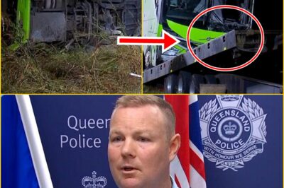 ‘THE SCENE WAS ABSOLUTELY DEVASTATING’: POLICE REVEAL GRIM NEW DETAILS AFTER TOURIST BUS ROLLED ON Bruce Highway IN DE-ADLY Gumlu CRASH