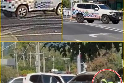 SECONDS FROM SAFETY… — HEARTBREAK AFTER ELDERLY PEDESTRIAN K-I-LLED WHILE USING CROSSING SIGNAL