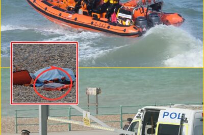 ‘THEY WERE JUST HAVING FUN’: CHILLING NEW POLICE THEORY EMERGES AFTER THREE WOMEN DI-ED OFF Brighton Beach