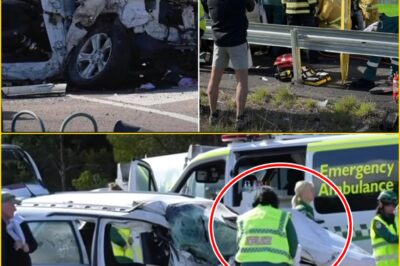 A ROUTINE DRIVE ENDED IN DISASTER: CHILLING NEW QUESTIONS EMERGE AFTER FATAL TRUCK CRASH CLAIMS ANOTHER LIFE ON SA ROADS