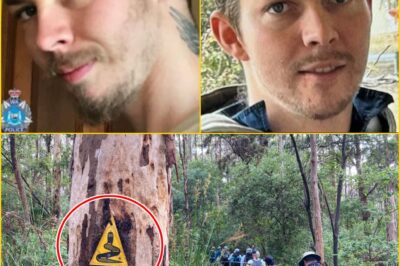 POLICE FEAR FOR HIS SAFETY: NEW UPDATE IN SEARCH FOR MISSING 27-YEAR-OLD AFTER MYSTERIOUS DISAPPEARANCE NEAR Bibbulmun Track