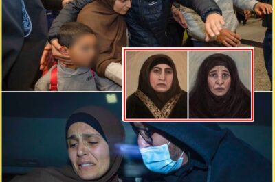 😳 BA-IL REJECTED IN HIGH-PROFILE CASE AS NEW EVIDENCE SHIFTS COURTROOM DIRECTION IN ISIS-RELATED PROCEEDINGS