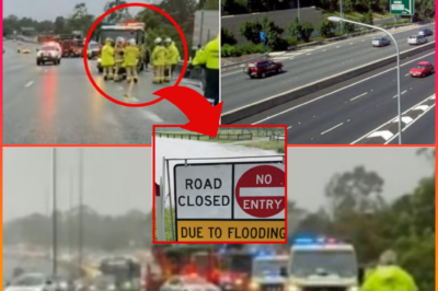SHE PULLED OVER AFTER A MINOR CRASH… MINUTES LATER, HER LIFE WAS G0NE — H0RROR ON THE Pacific Highway LEAVES COMMUNITY SHAKEN