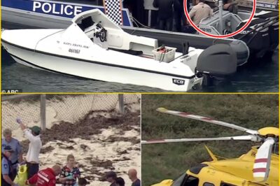 BREAKING NEWS: POLICE REVEAL TRAGIC NEW DETAILS ABOUT DIVER K-I-L-L-ED IN Great white shark ATTACK OFF Rottnest Island