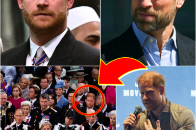 HUGE UPDATE — ONE “NON-NEGOTIABLE” DETAIL FUELS RIFT BETWEEN Prince William AND Prince Harry, Duke of Sussex