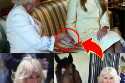CAUGHT ON CAMERA — Queen Camilla MAKES AN UNEXPECTED MOVE WITH A HIGH-VALUE GIFT LINKED TO Melania Tr-u-mp