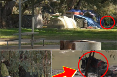 HEARTBREAKING TRUTH EMERGES — FAMILY OF HOMELESS MOTHER SPEAKS OUT AFTER TRAG-IC DISCOVERY IN TENT
